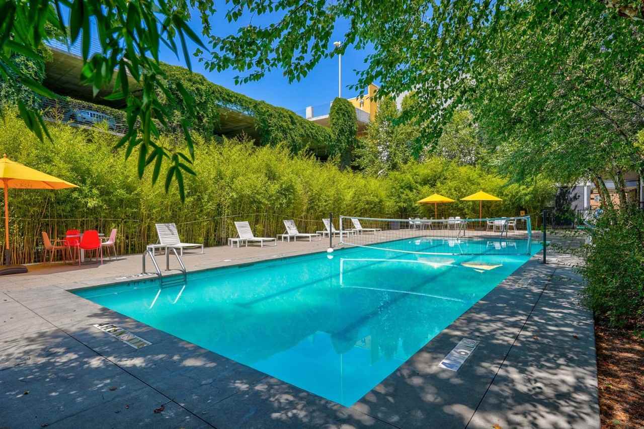 Level Apartments - Photo 6 of 11