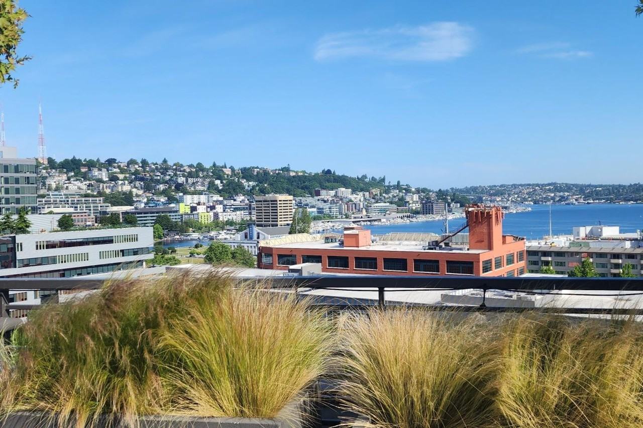 Mercerview Apartments - Photo 2 of 30