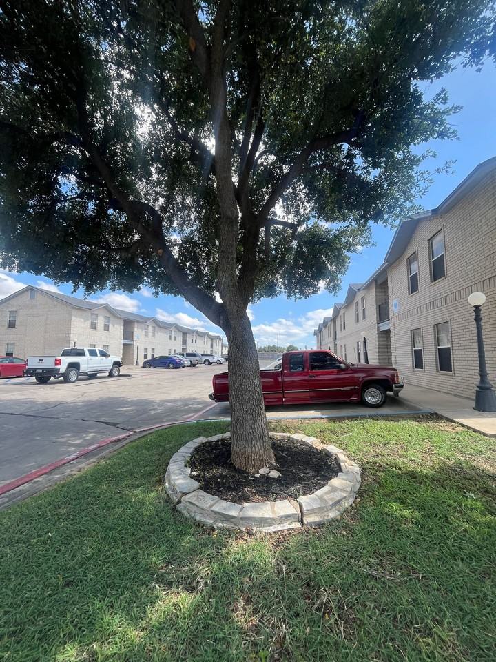 Town Lake Apartments - Photo 4 of 38