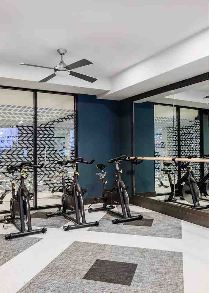 The Cardinal Apartments - Photo 7 of 35