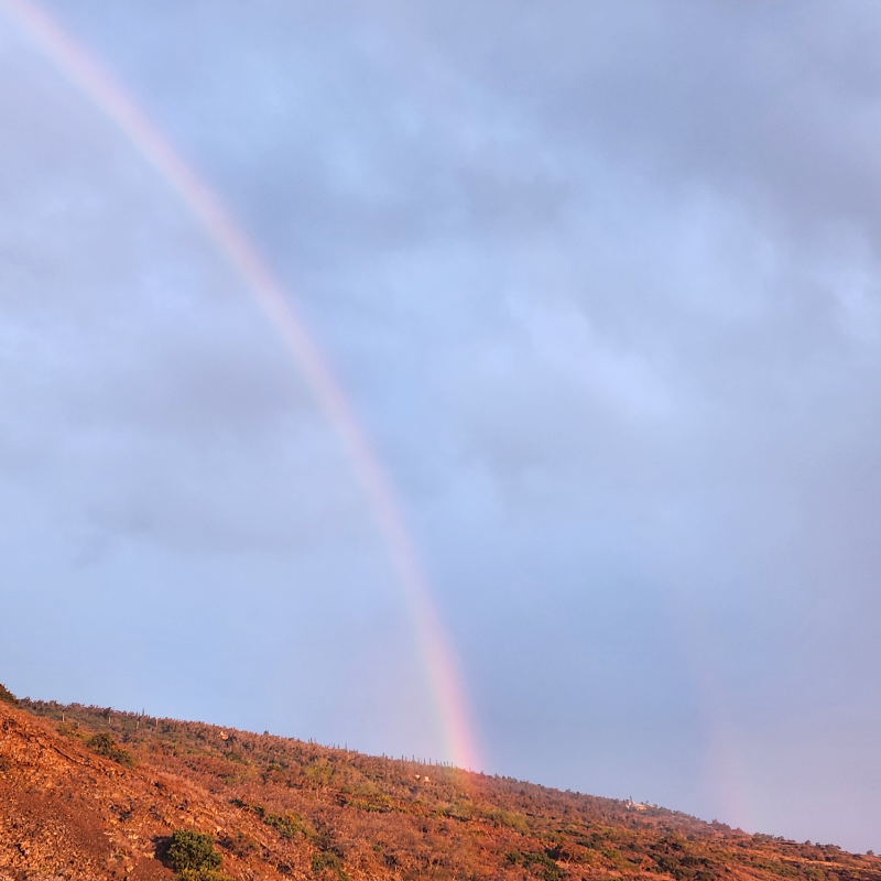 87 Lea Rd - Photo 2 of 20