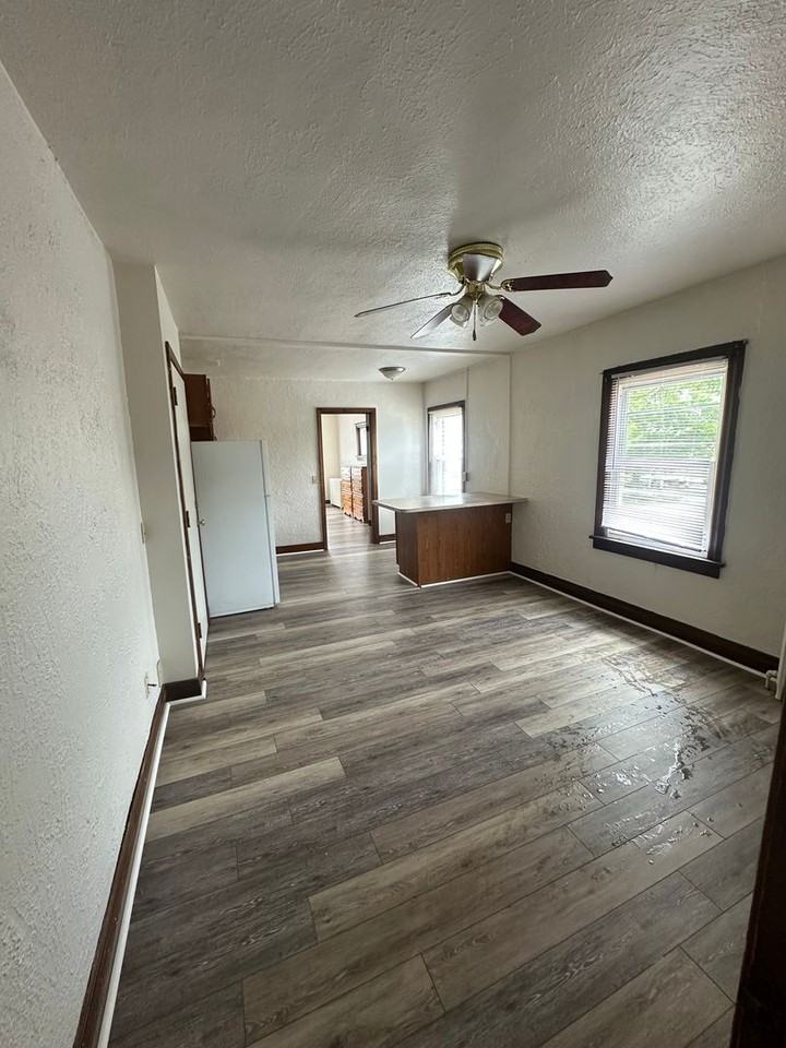 260 West 9th - Photo 4 of 10