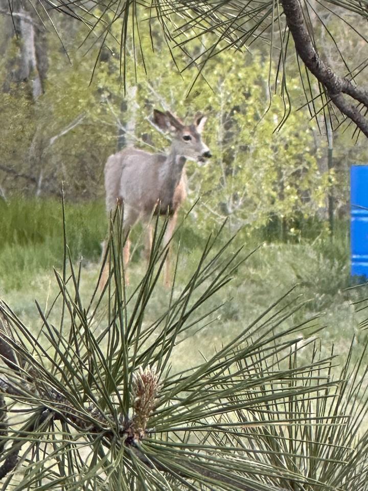 15015 E Us Highway 24 #NA - Photo 5 of 31