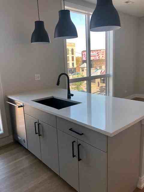 1046 West Cornelia Avenue - Photo 3 of 9