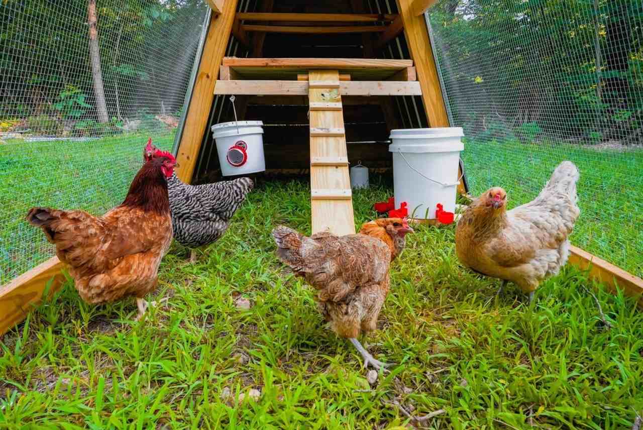 461 Laughlin Ridge Road #1241317P - Photo 6 of 36