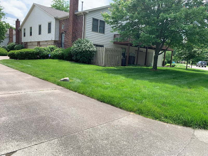 9165 Cinnebar Dr - Photo 2 of 10