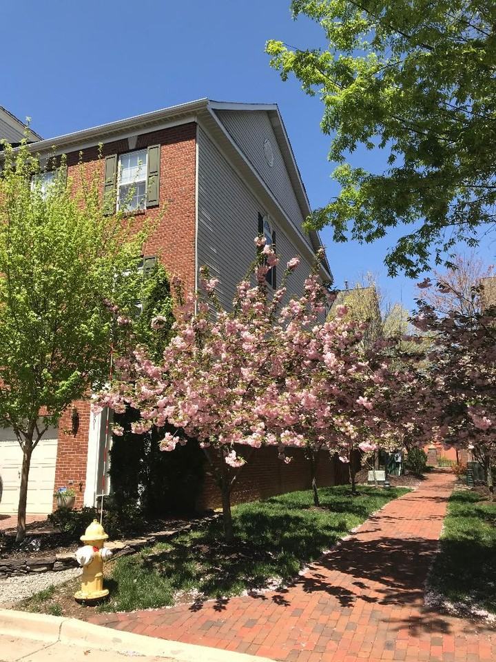 5001 Waple Ln - Photo 2 of 36