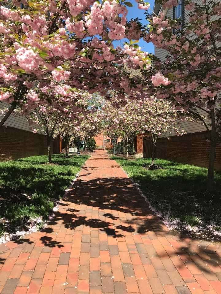 5001 Waple Ln - Photo 3 of 36