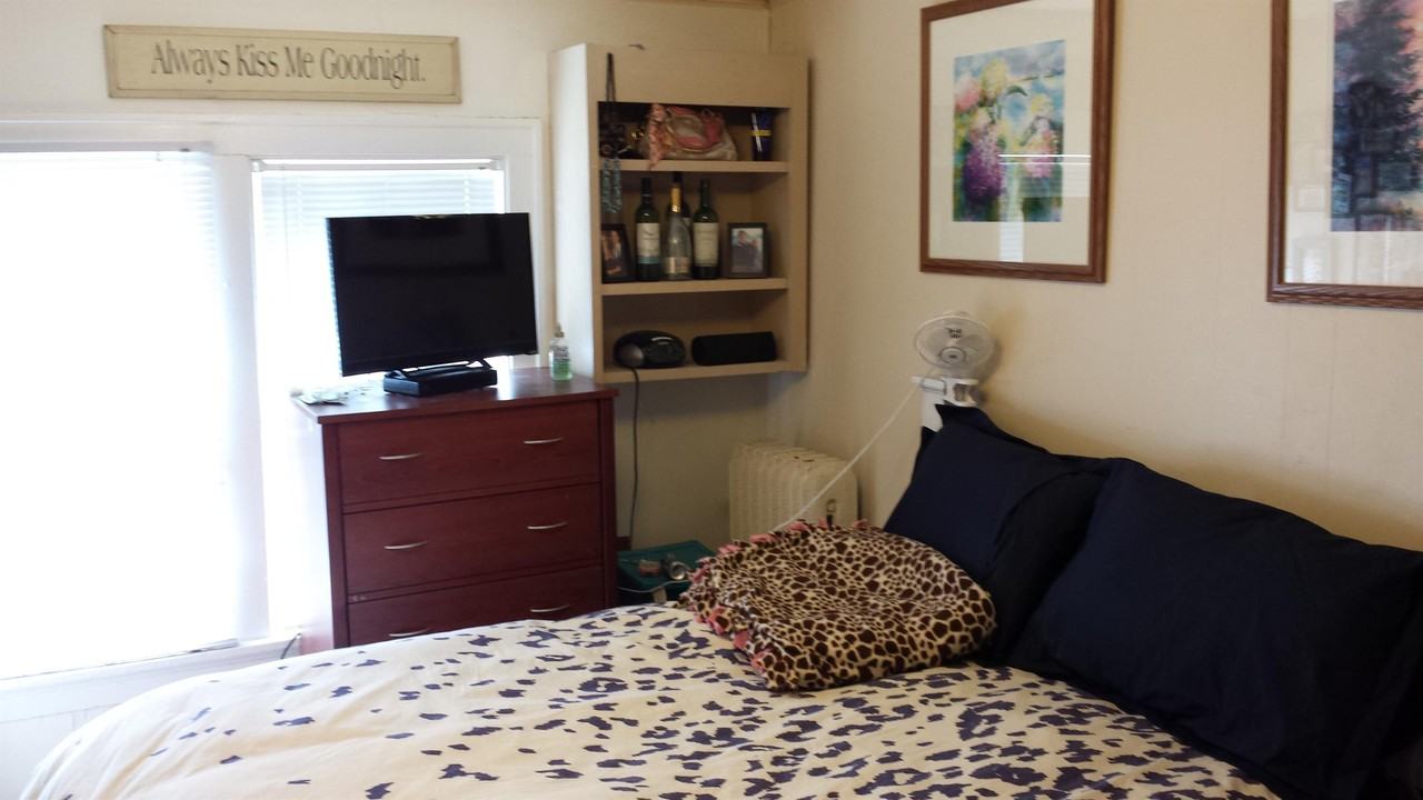 29 Langdon Street - Photo 3 of 50