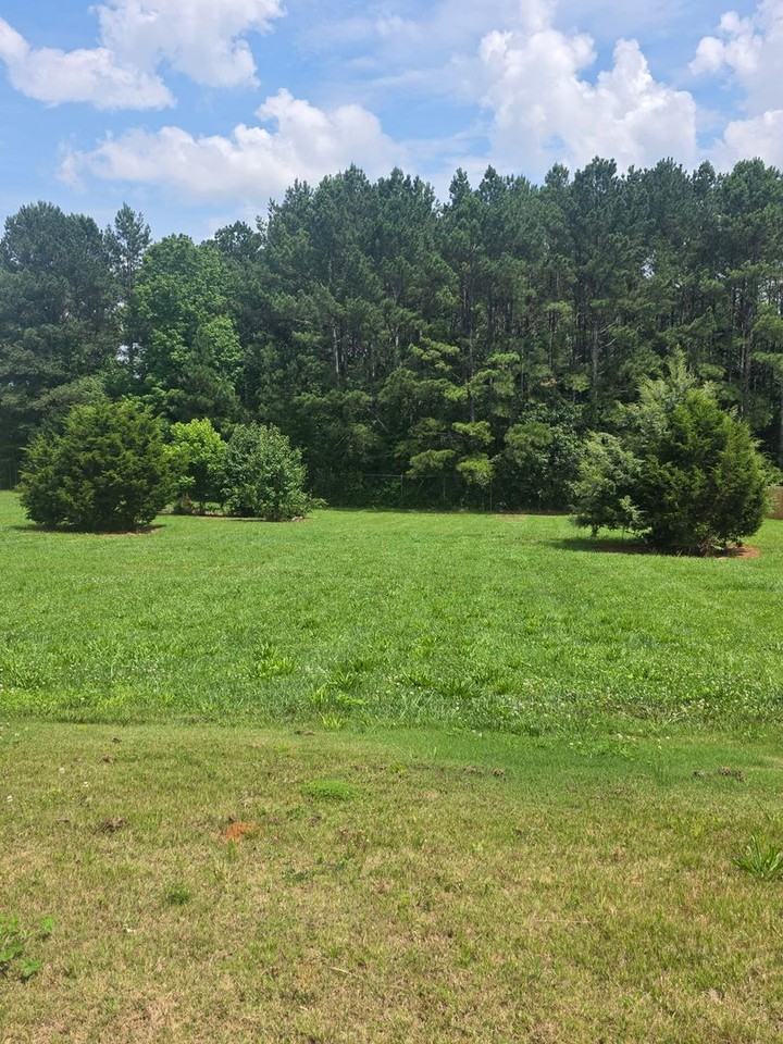 133 Field Crest Ln - Photo 3 of 13