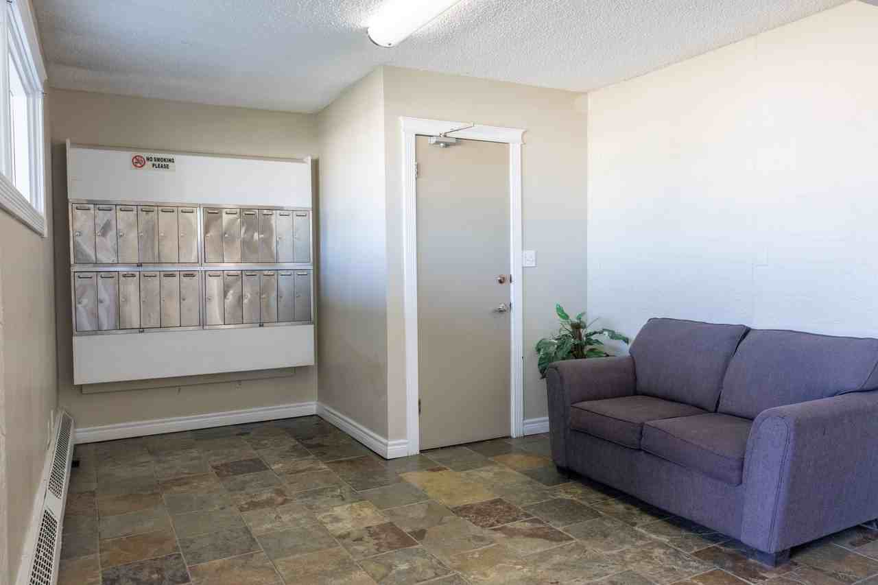 Maple Leaf Court - Photo 3 of 21