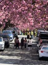 East 7th Avenue - Photo 1 of 1