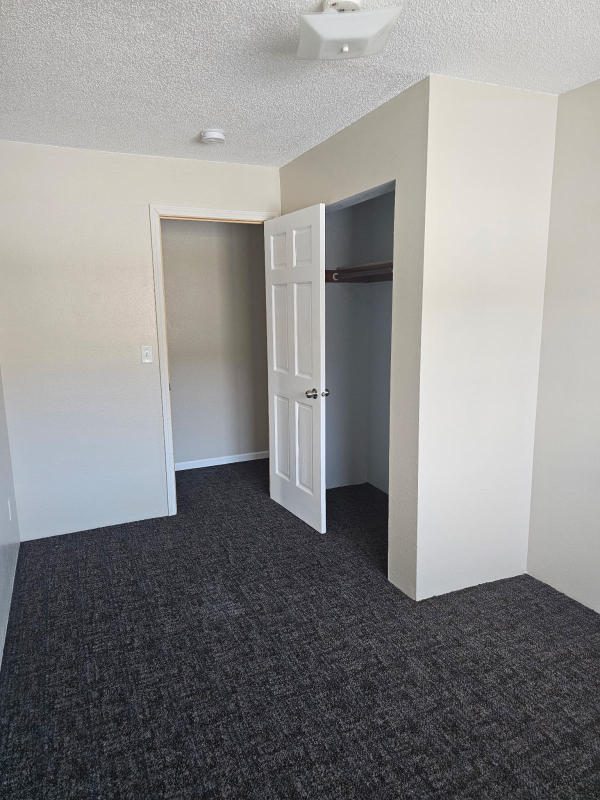 1217 4th Ave S #204 - Photo 3 of 16