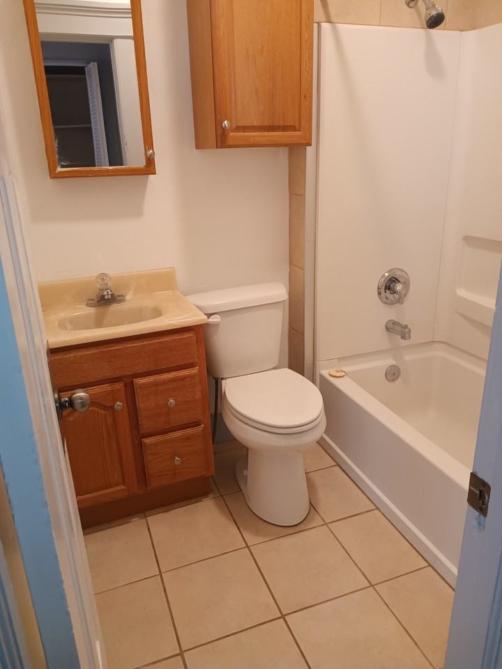 ID - 416 W Lewis St - LB - Photo 3 of 11