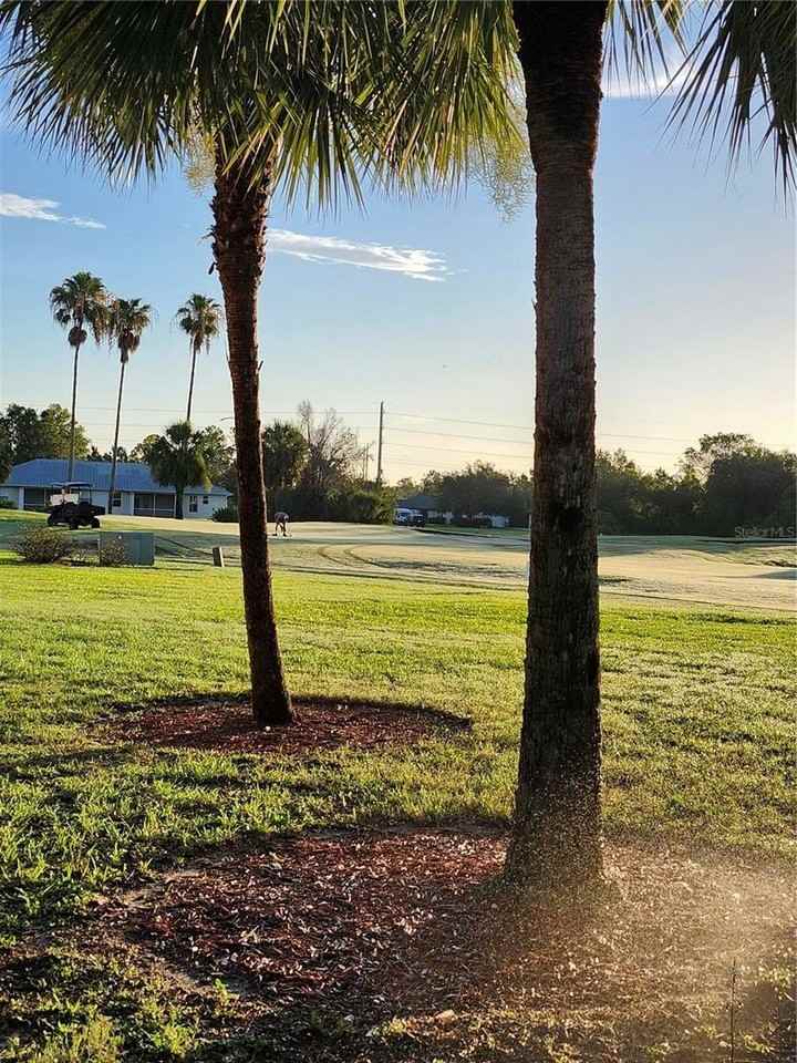 1216 Rio De Janeiro Ave - Photo 6 of 15