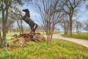 featured image of 10827 Saint John Rd