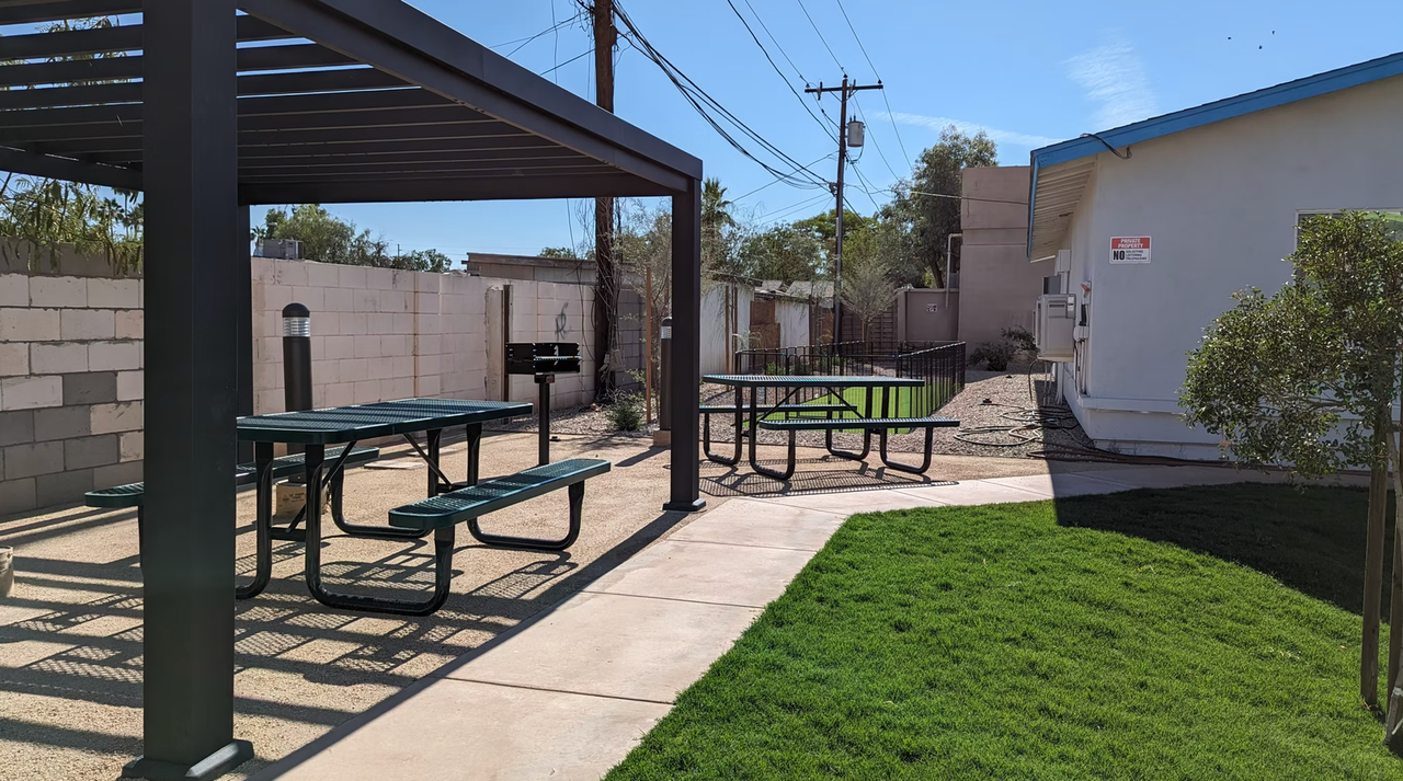 Aces - Photo 4 of 24