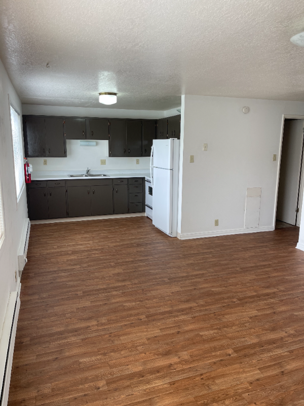 160 N 1st W - Photo 3 of 18