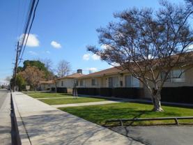 PALM ST 2315 A-G - Photo 1 of 1