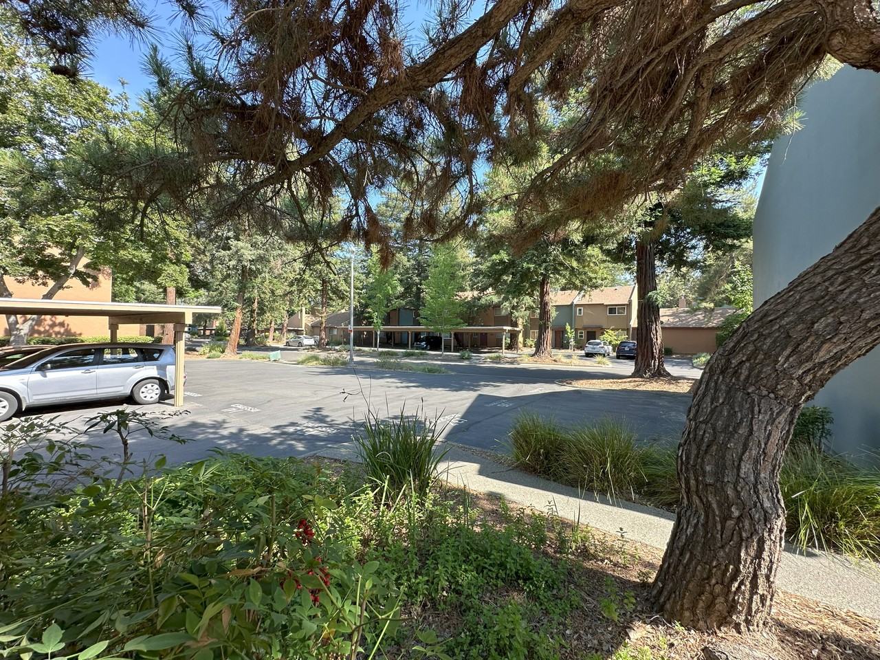 2137 Bella Casa St - Photo 3 of 9