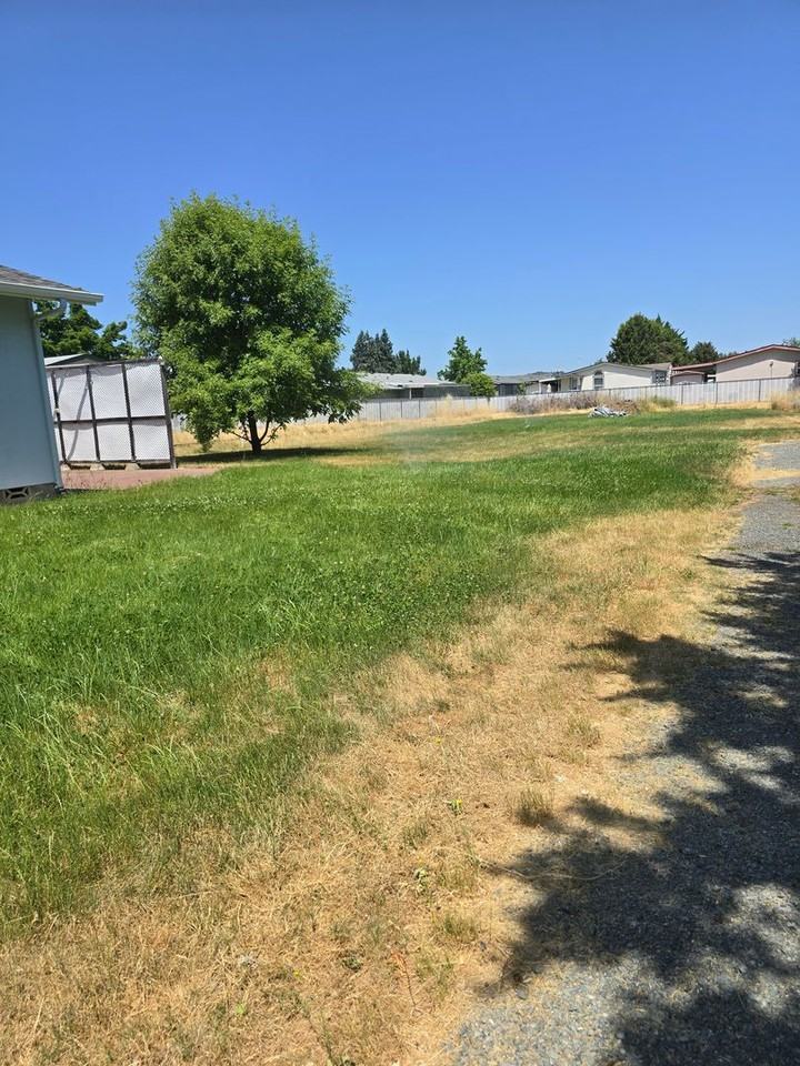 2368 Redwood Ave - Photo 5 of 22
