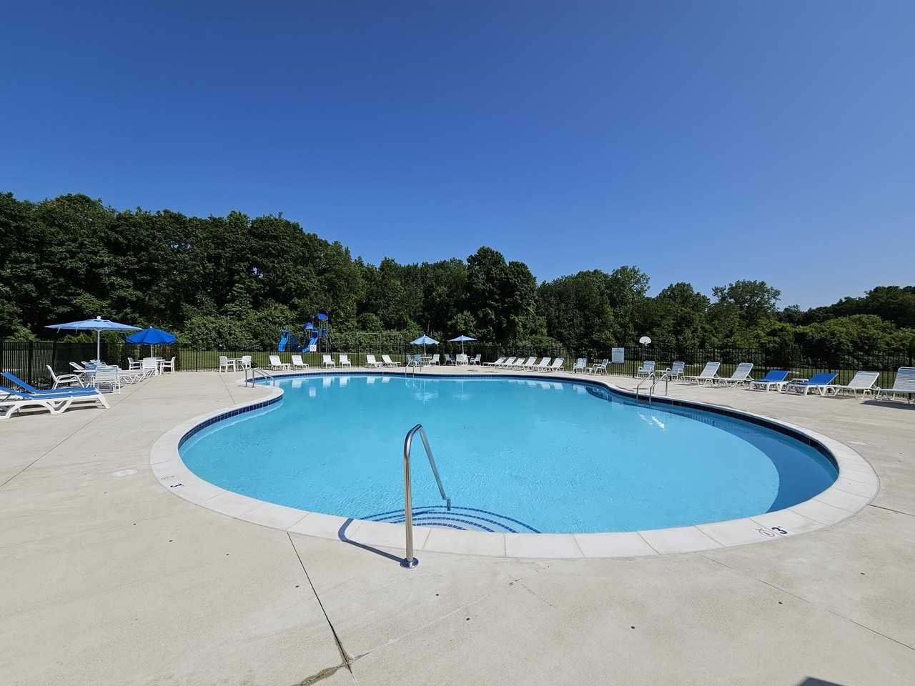 248 Spruce Street #248 - Photo 6 of 12