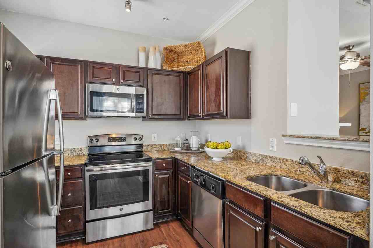 The Vine South - Photo 6 of 51