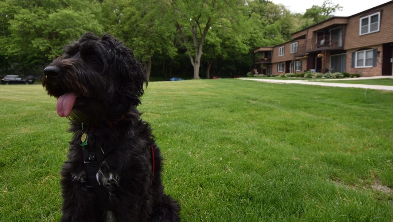 Woodland Reserve Apartments - Photo 3 of 50