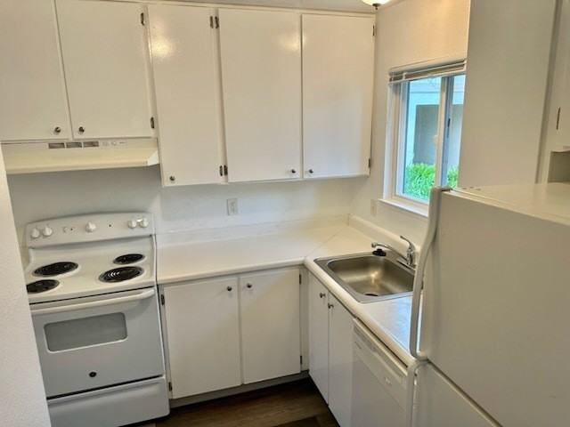 Boris Gardens - Photo 6 of 13