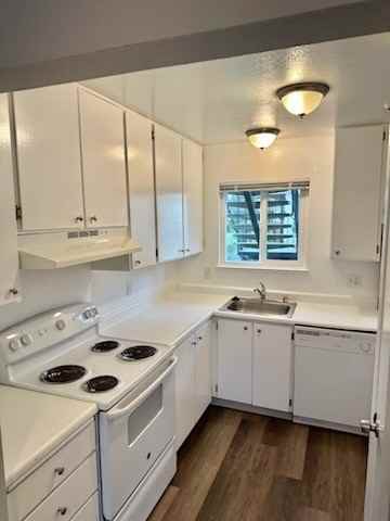 Boris Gardens - Photo 7 of 13