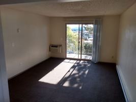 featured image of 321 N 5th St ##13