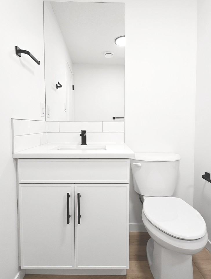 10052 115 Ave Nw Bsmt #10052BS - Photo 3 of 12