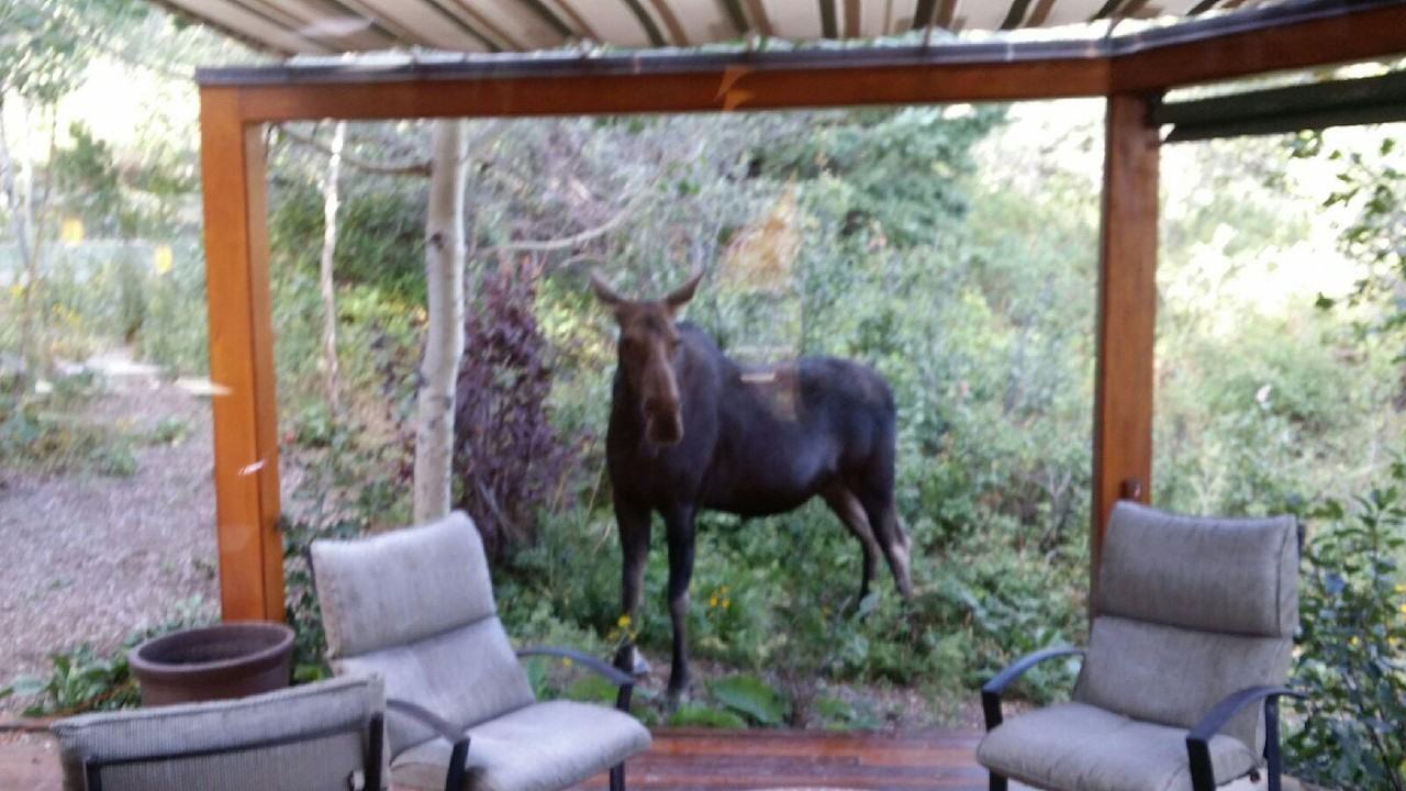 45 Innsbruck Strasse - Photo 7 of 30