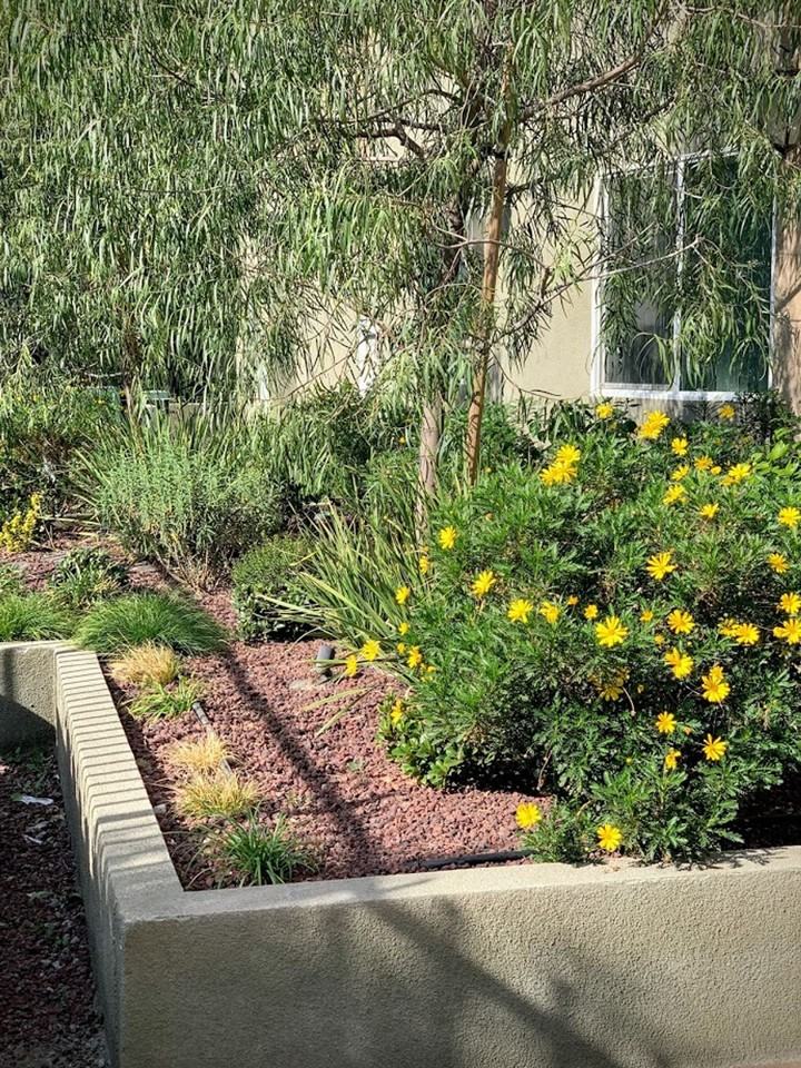 YaYa Cabrito, LLC - Photo 3 of 16