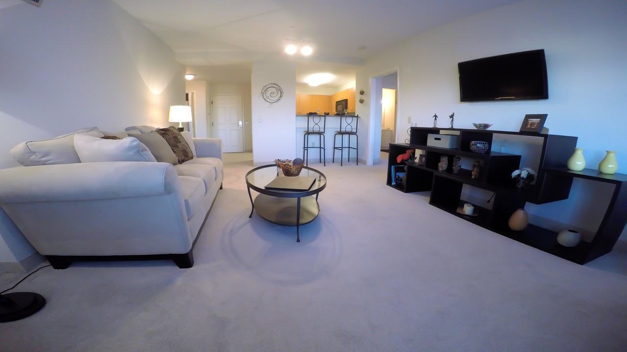 505 Plantation Street #117