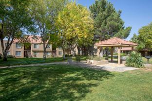 Cinnamon Tree Apartments - Photo 1 of 1