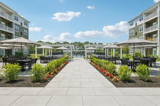 Brand New 62+ Luxury Apartment Residences - Photo 1 of 1