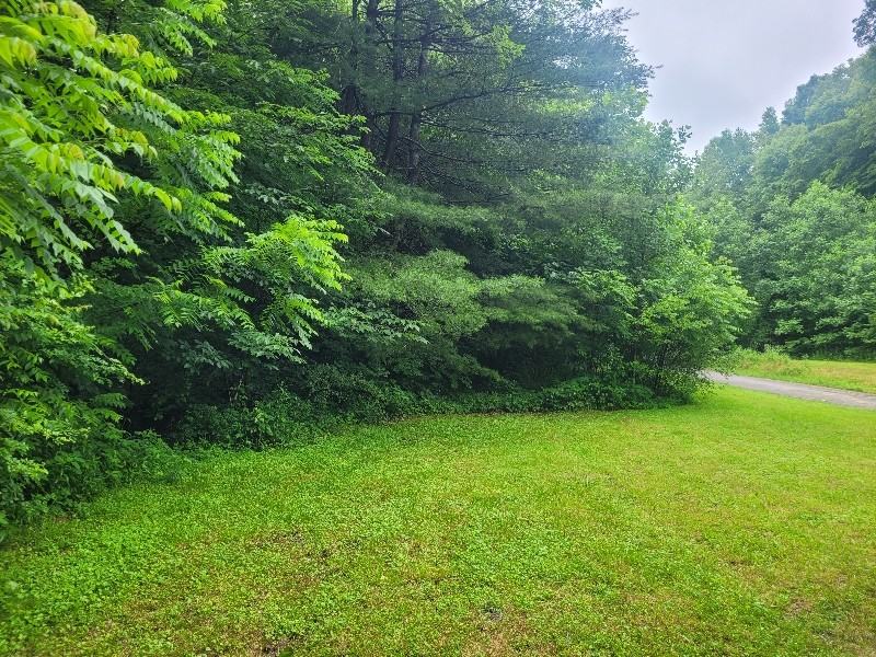 366 Ester Spur Rd - Photo 3 of 20