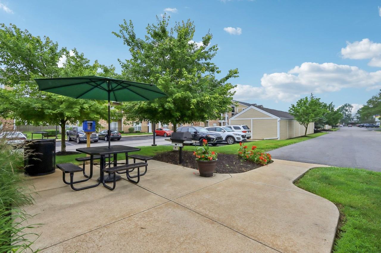 City View Farm Apartments - Photo 6 of 43