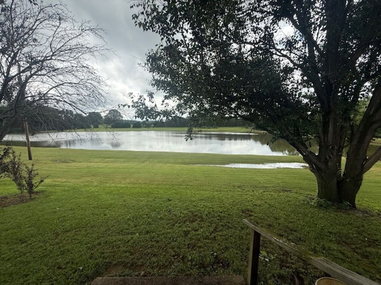 1324 County Road 81 - Photo 3 of 11