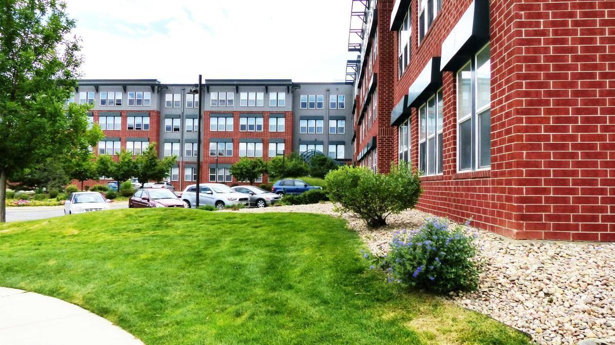 9783 Pyramid Ct - Photo 5 of 12