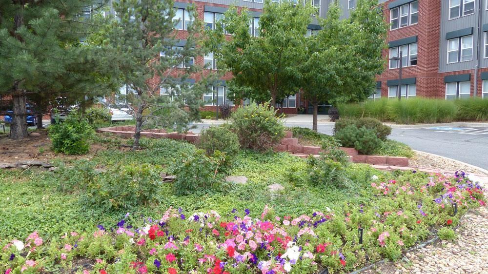 9783 Pyramid Ct - Photo 2 of 12