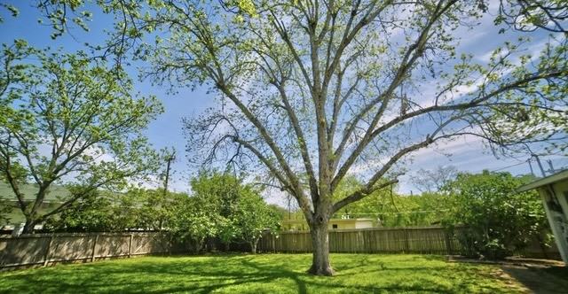 2119 Flamingo Dr - Photo 7 of 25