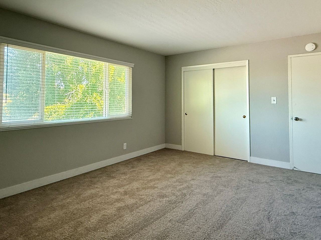 4004 Williams Road #11 - Photo 6 of 8