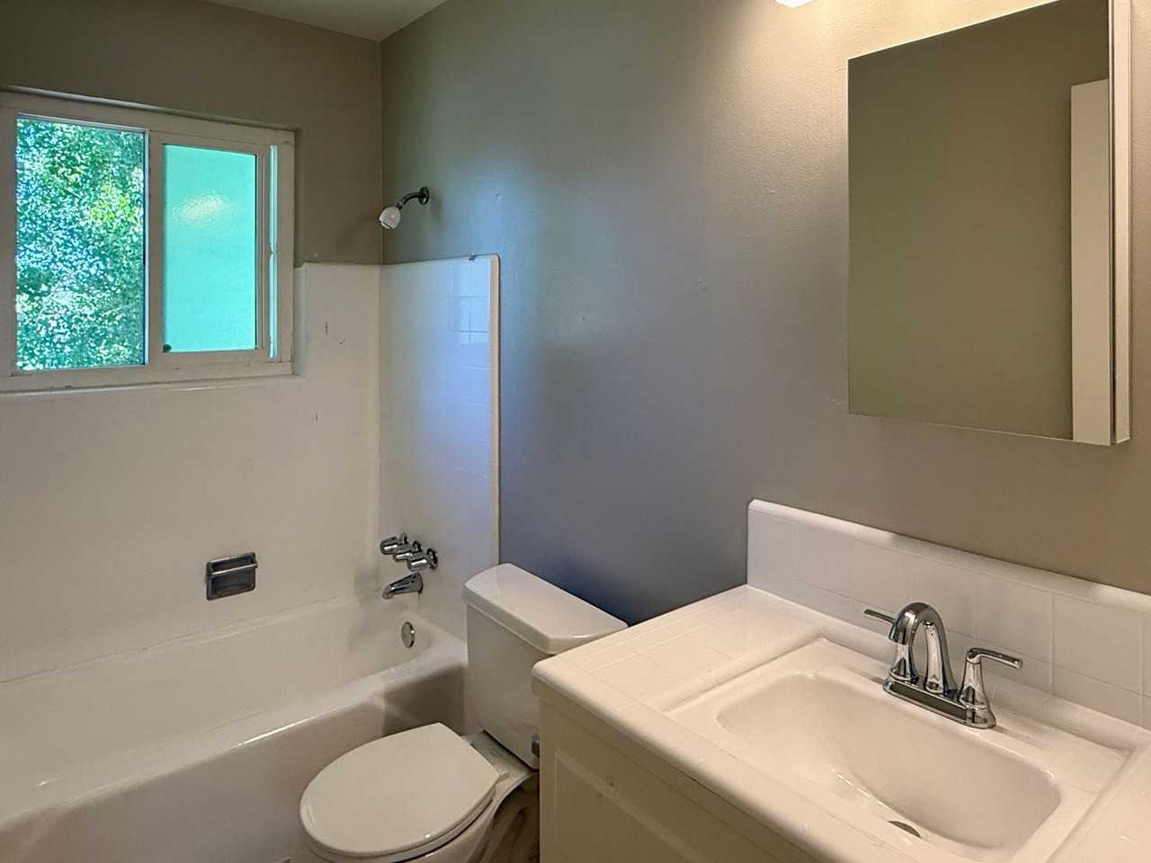 4004 Williams Road #11 - Photo 7 of 8