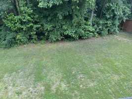 featured image of Ashbury Cir