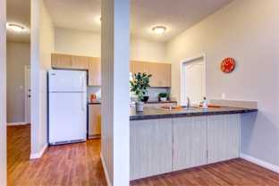 Big Lake Pointe 12 Affordable - Photo 1 of 1
