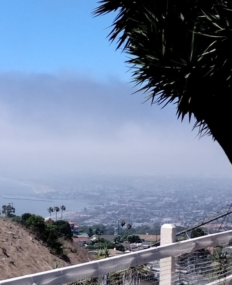 26541 Mazur Dr #NA - Photo 2 of 15