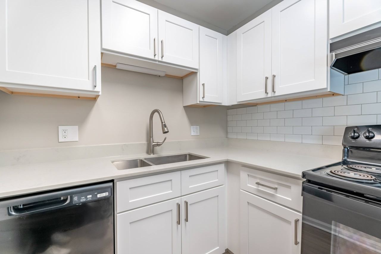 Cameron - Photo 6 of 35