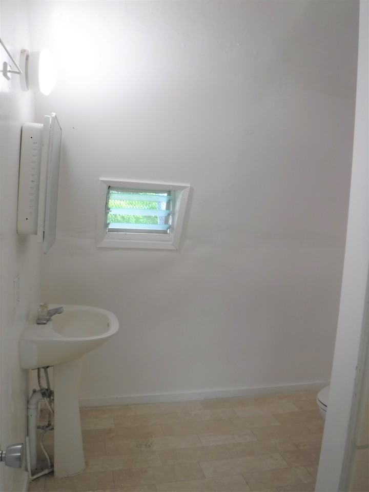 WCV - Jade - Photo 6 of 10